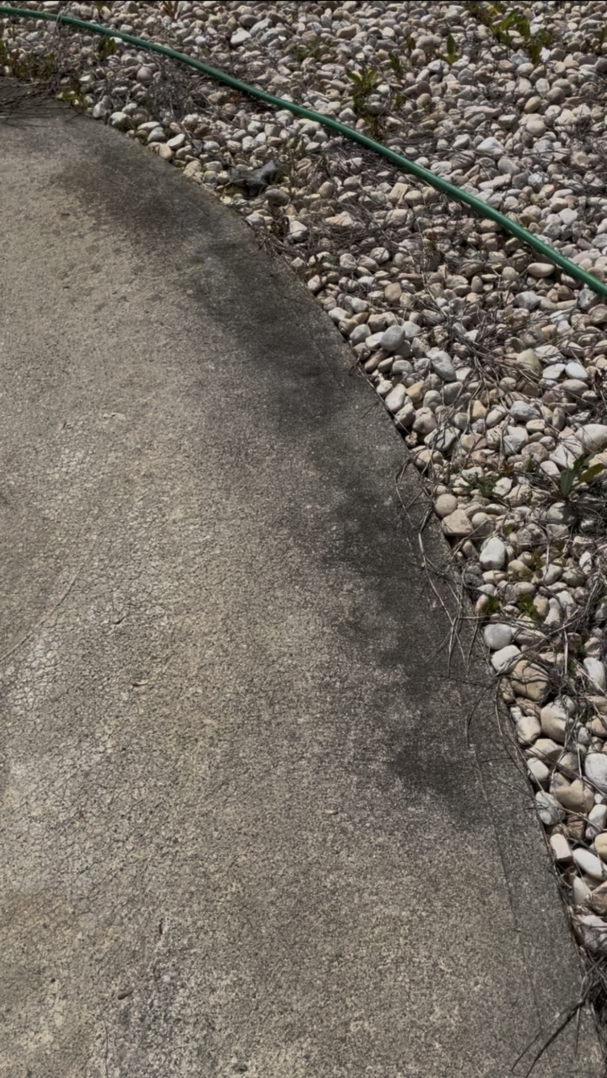 Dirty concrete pool deck before pressure washing