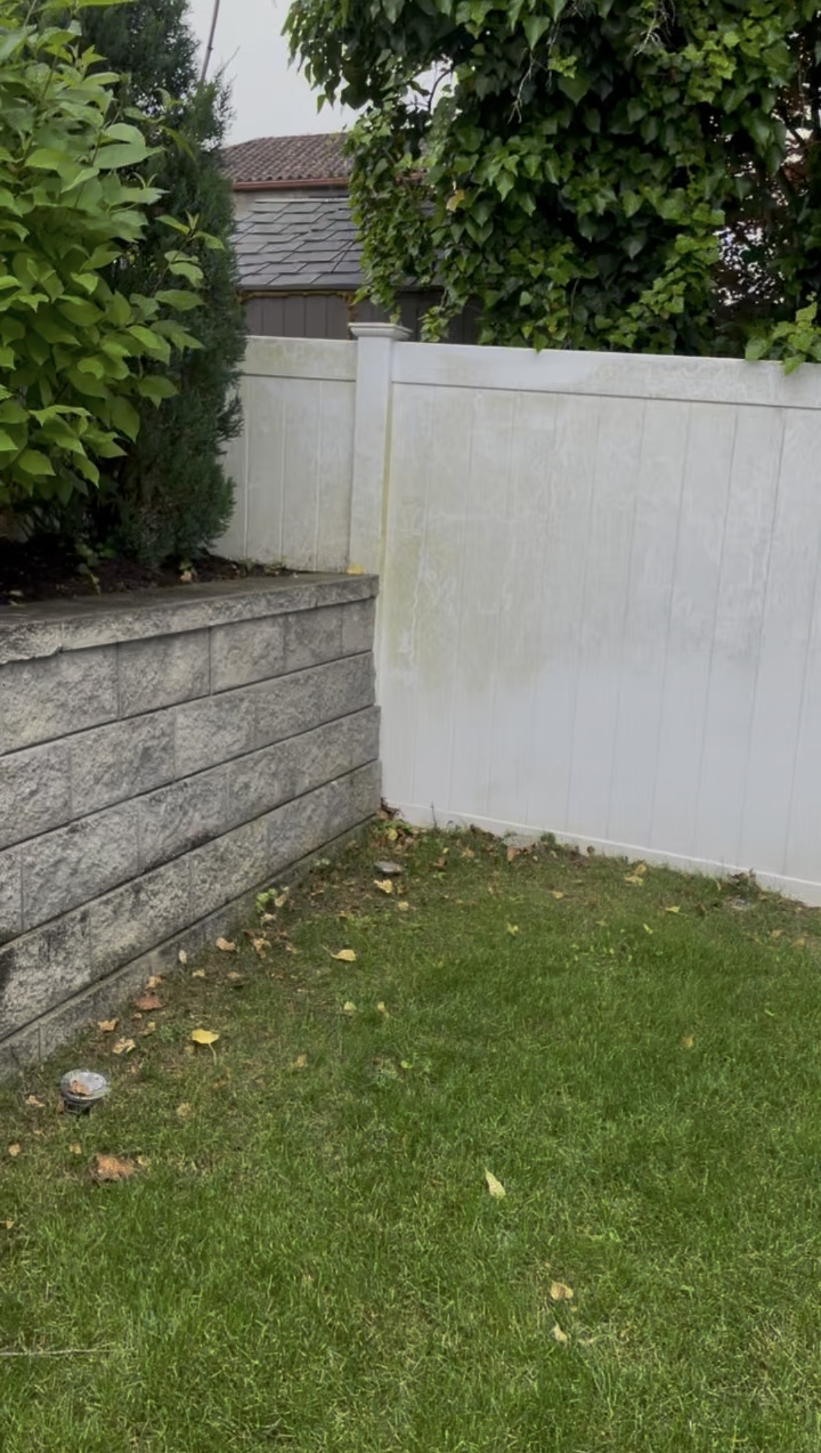 White vinyl fence with mildew and dirt